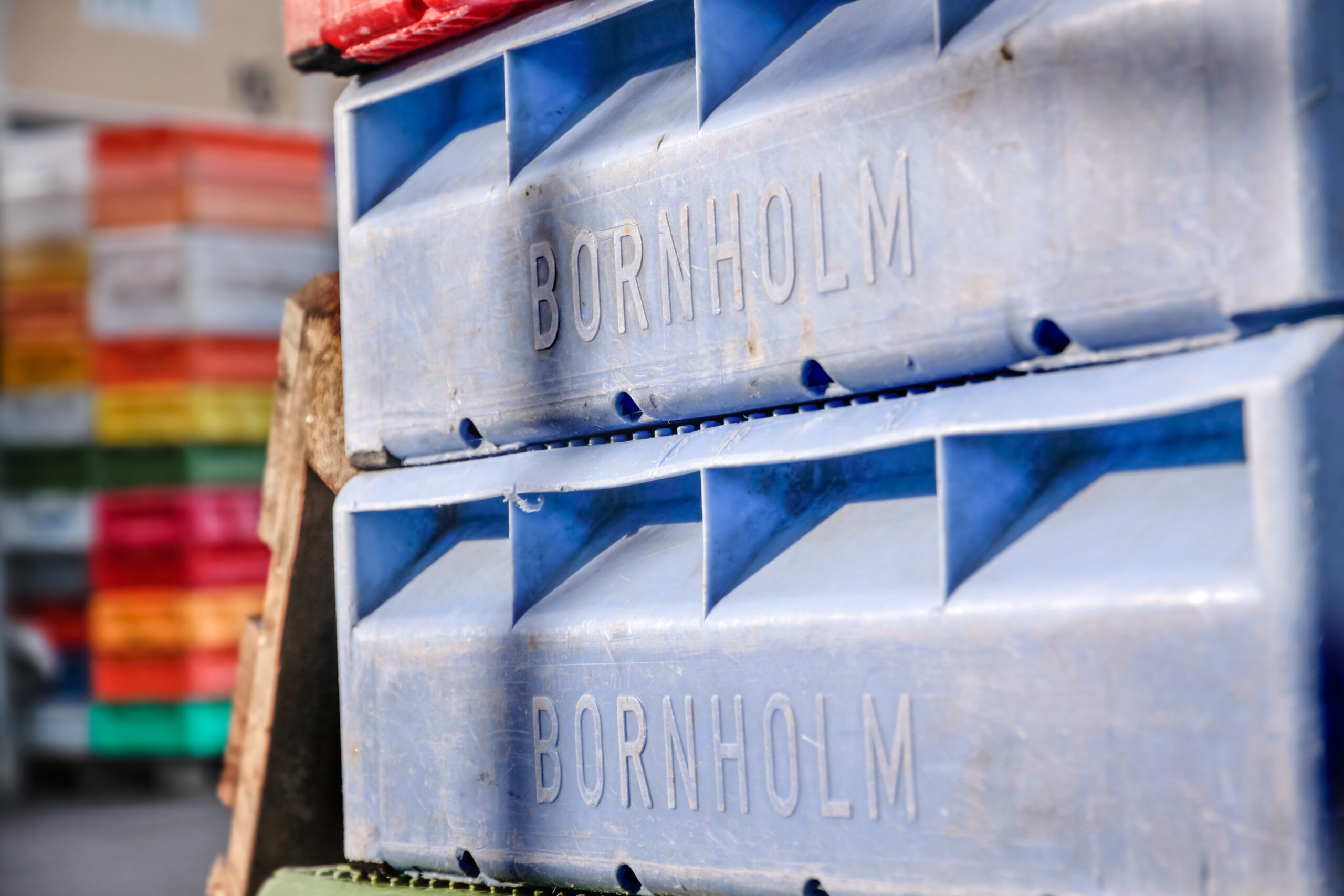 Colorful boxes for fish
