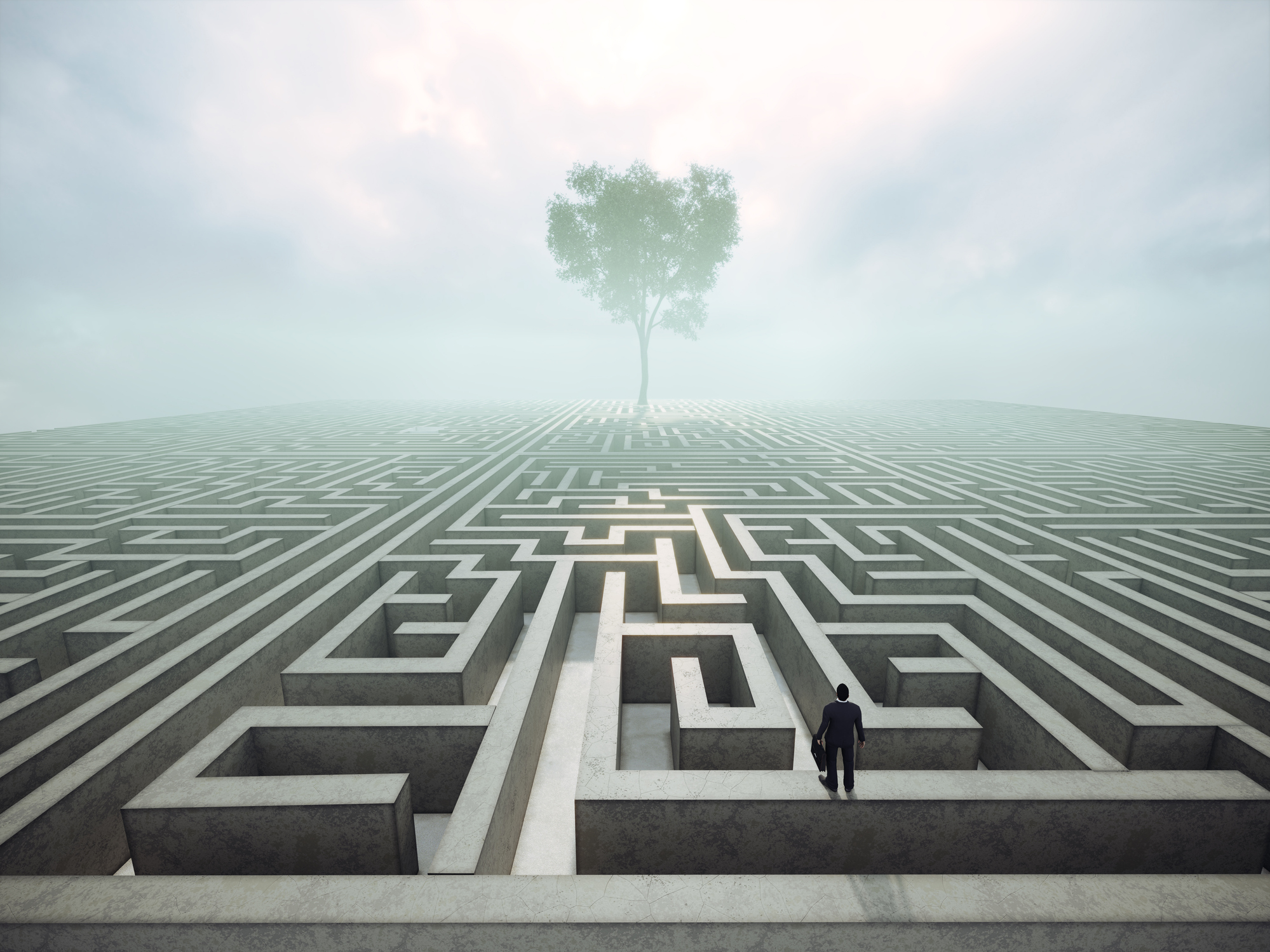 Business man standing on maze