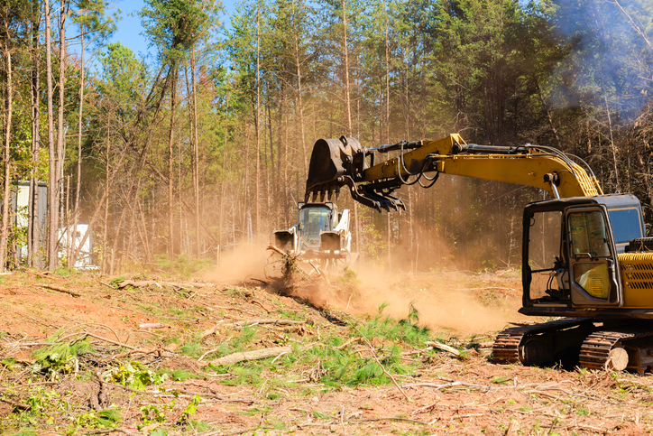 Heavy machinery clearing forested area